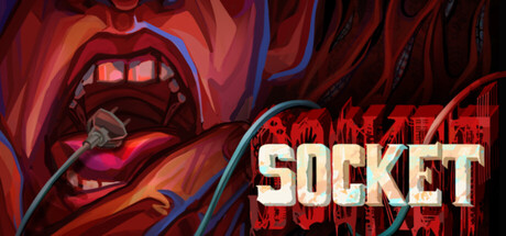 Socket