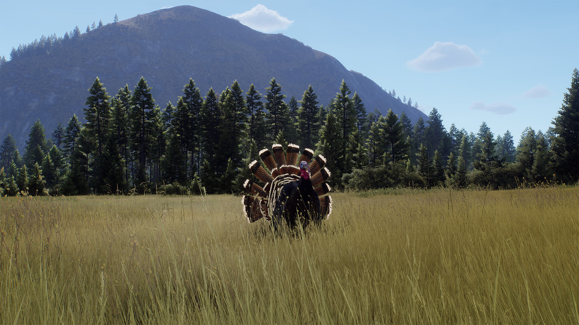 Скриншот Way of the Hunter - Elkcrest Island — кадр 8