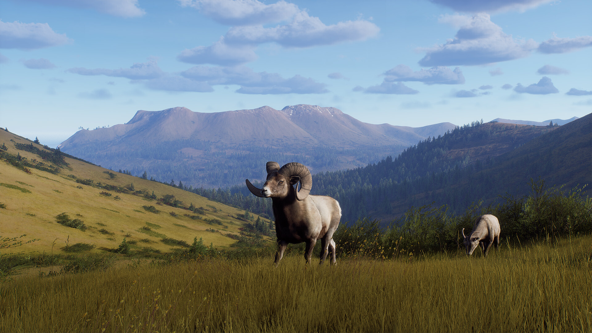 Скриншот Way of the Hunter - Elkcrest Island — кадр 5