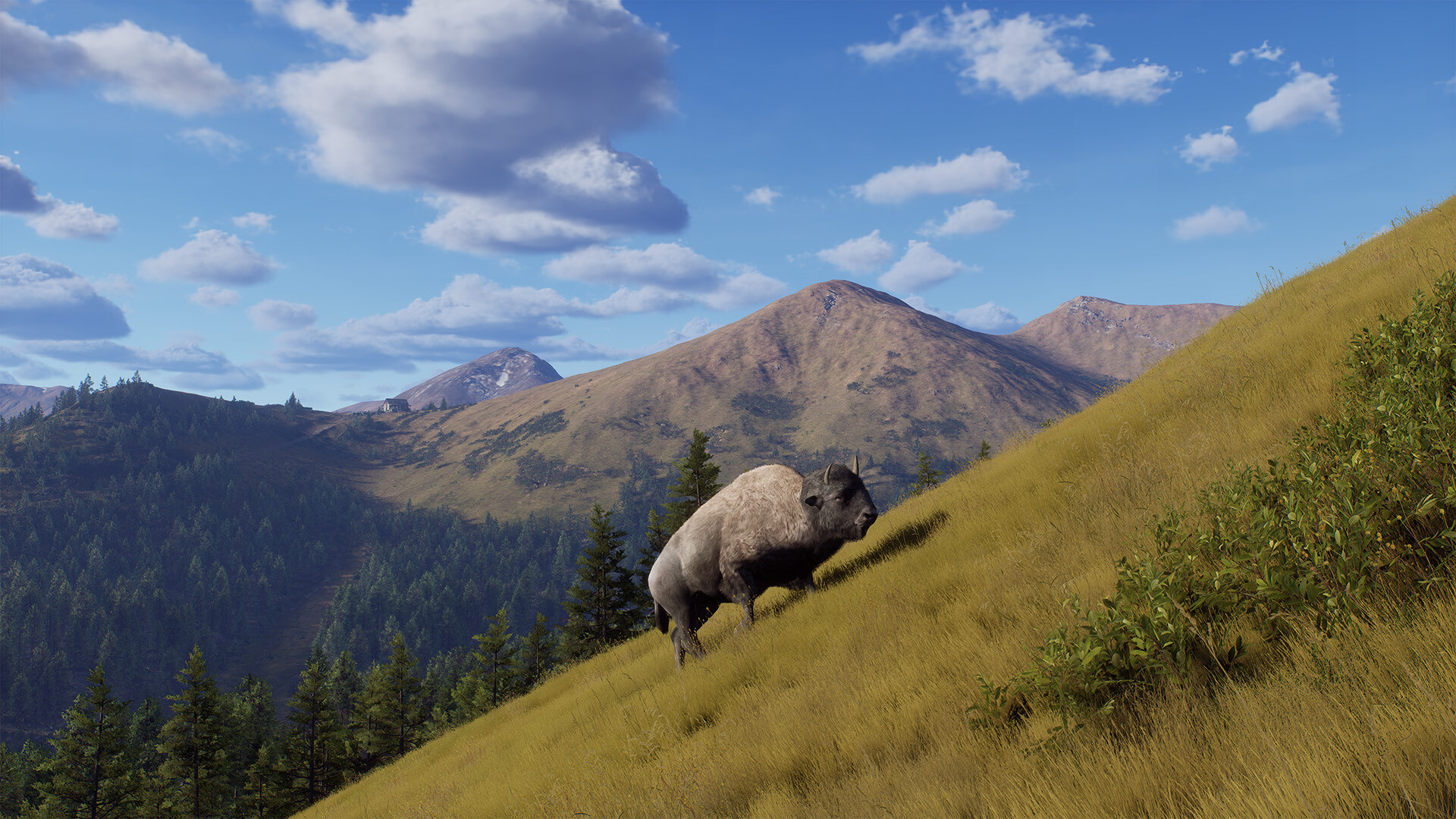 Скриншот Way of the Hunter - Elkcrest Island — кадр 11