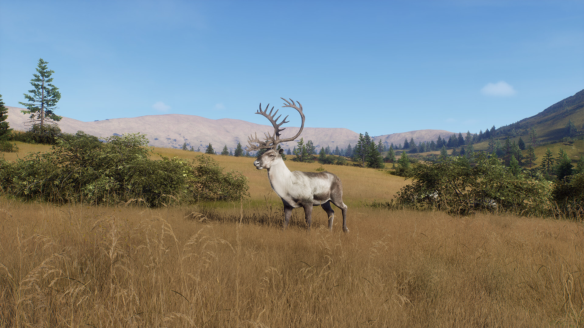 Скриншот Way of the Hunter - Elkcrest Island — кадр 7