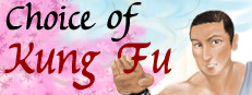 Choice of Kung Fu game cover