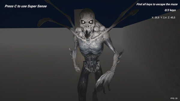 SHADOW MAZE Descent into Fear