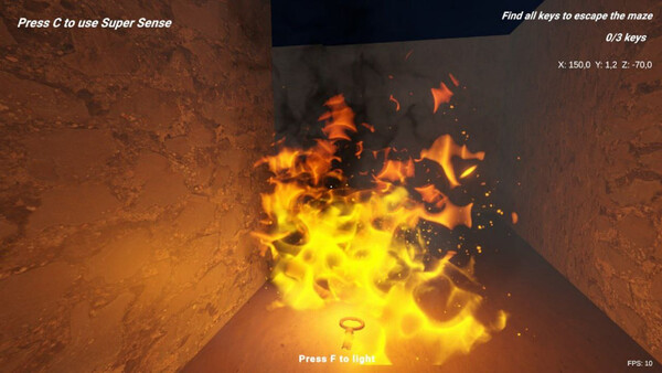 SHADOW MAZE Descent into Fear