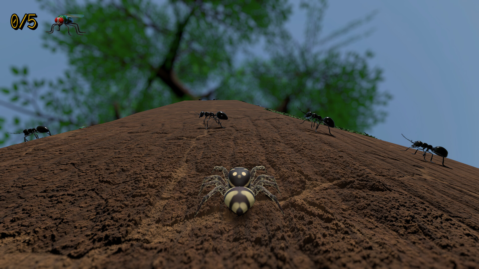 A little Jumpingspider's Garden Adventure (Day 1+2) screenshot #9
