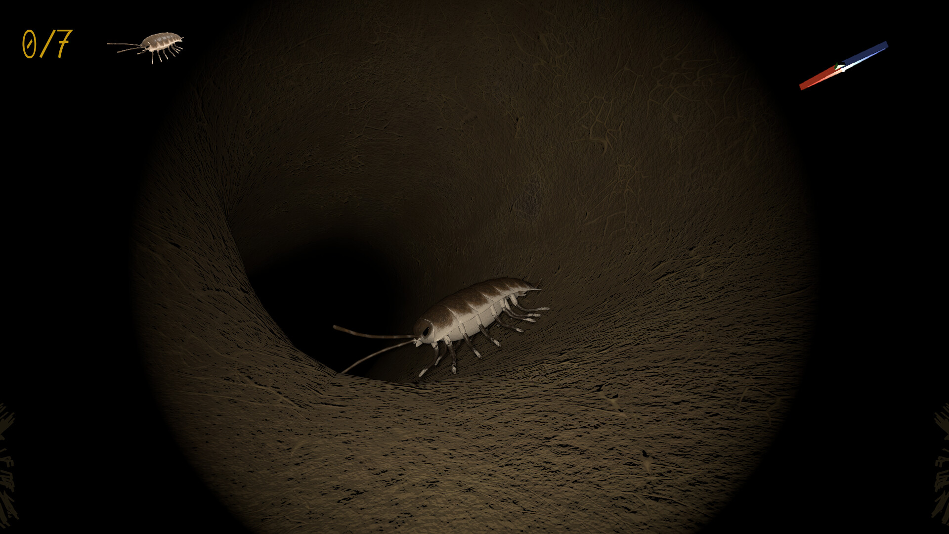 A little Jumpingspider's Garden Adventure (Day 1+2) screenshot #5