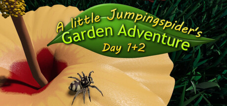A little Jumpingspider's Garden Adventure (Day 1+2) Banner