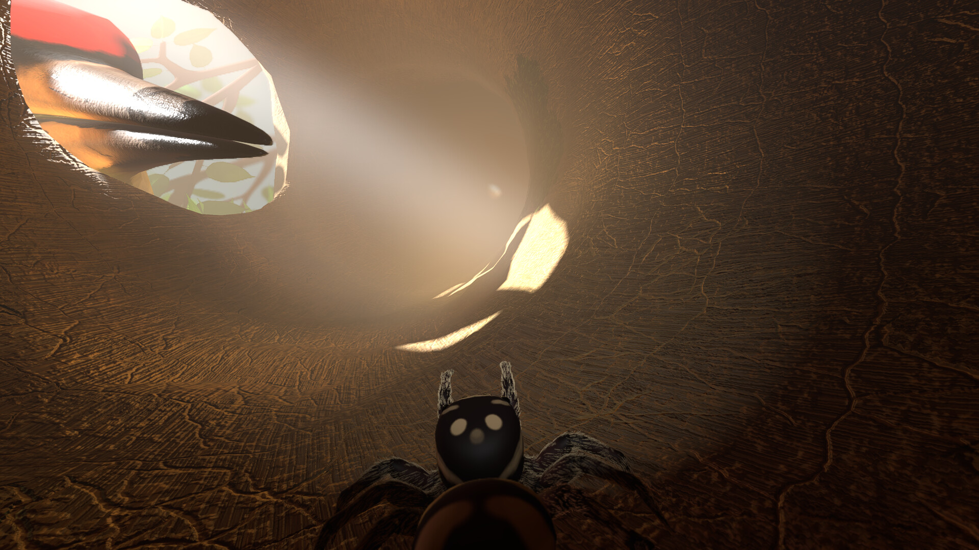 A little Jumpingspider's Garden Adventure (Day 1+2) screenshot #11