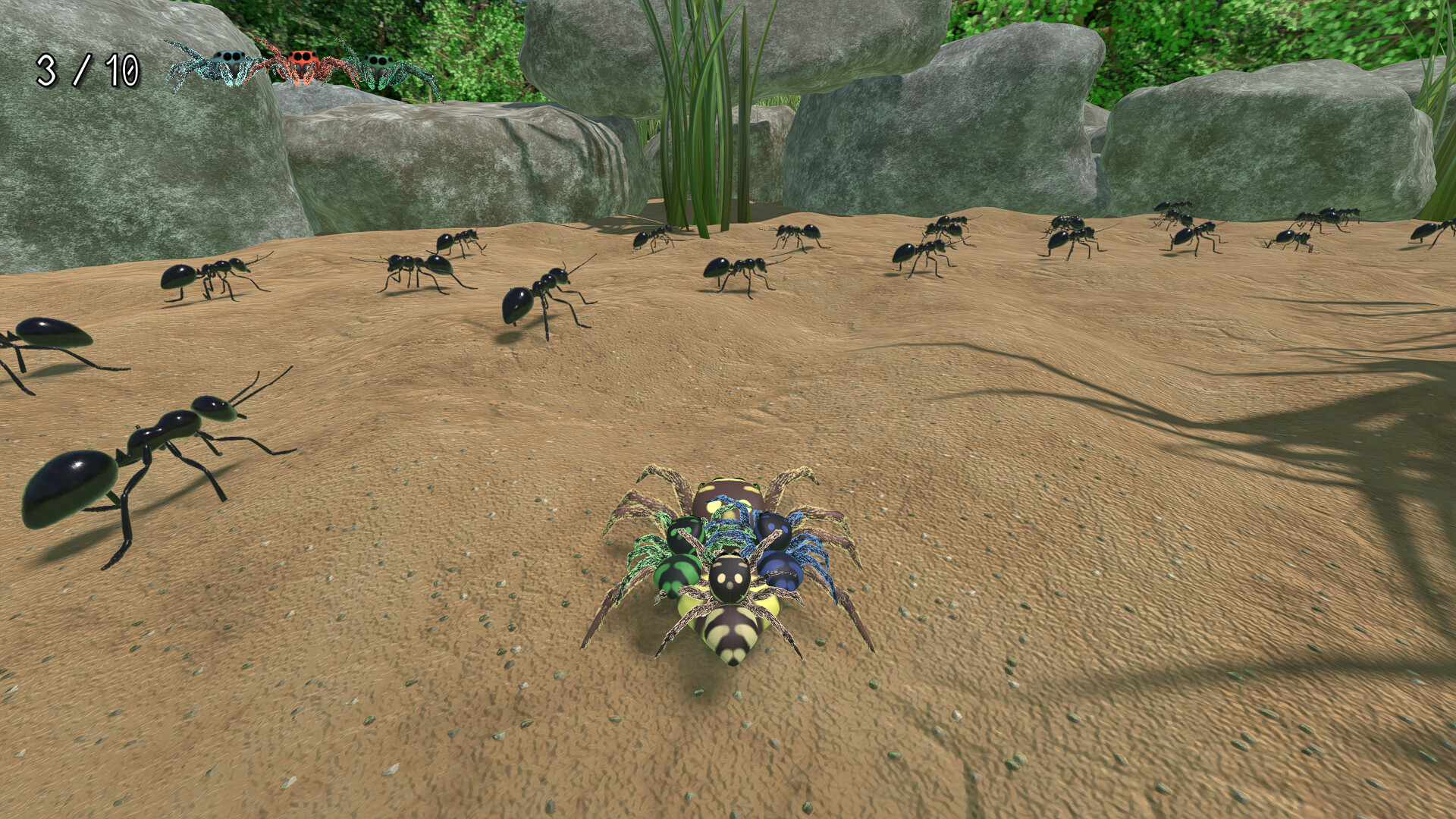A little Jumpingspider's Garden Adventure (Day 1+2) screenshot #7