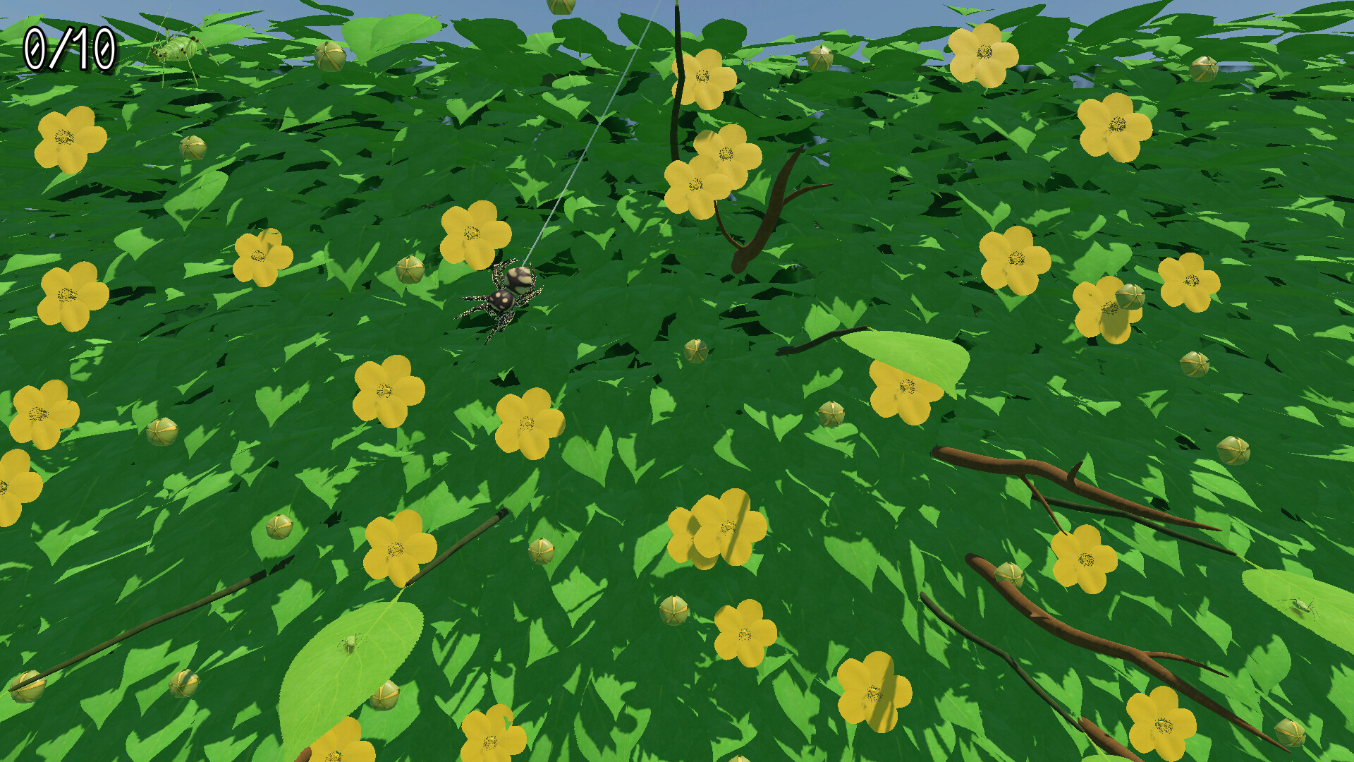 A little Jumpingspider's Garden Adventure (Day 1+2) screenshot #7