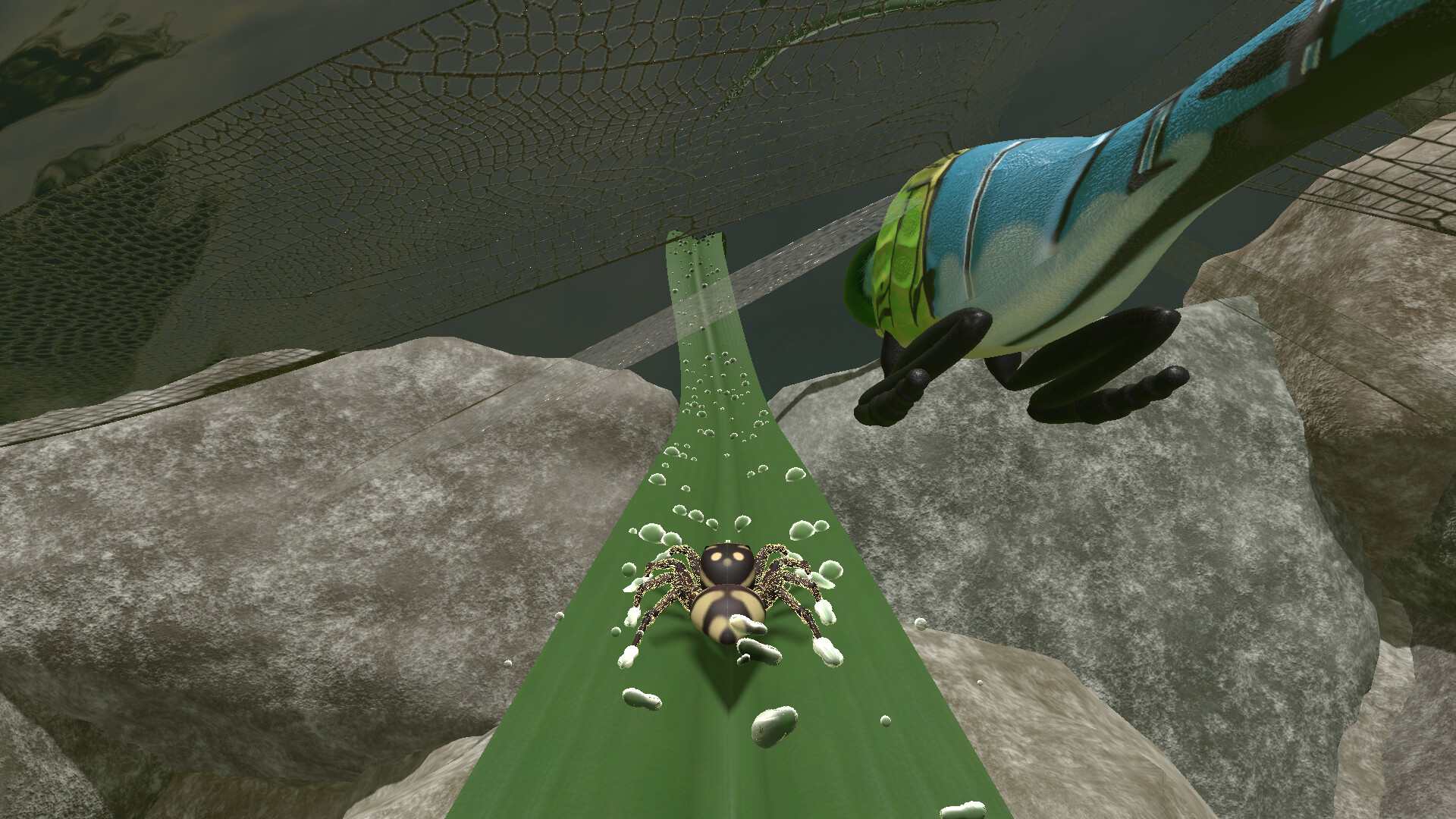 A little Jumpingspider's Garden Adventure (Day 1+2) screenshot #6
