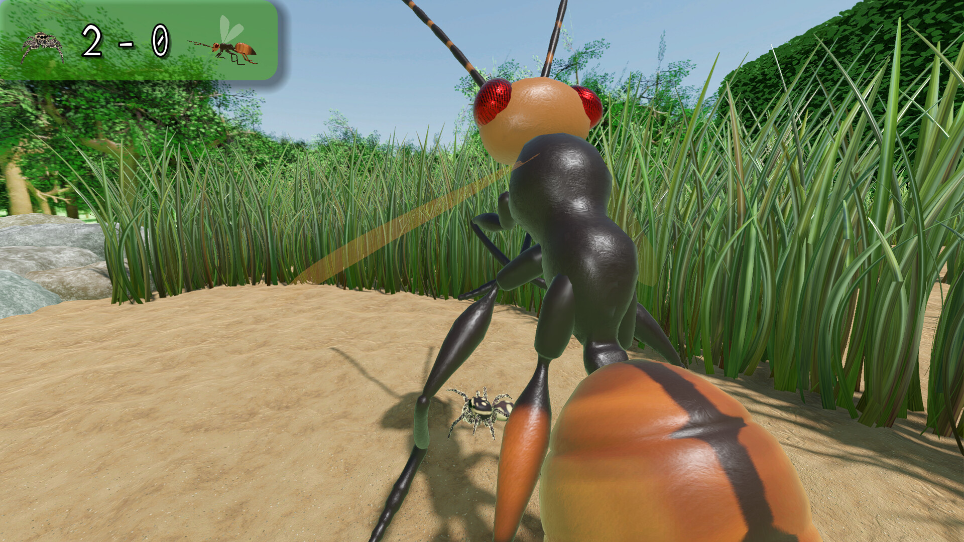 A little Jumpingspider's Garden Adventure (Day 1+2) screenshot #4