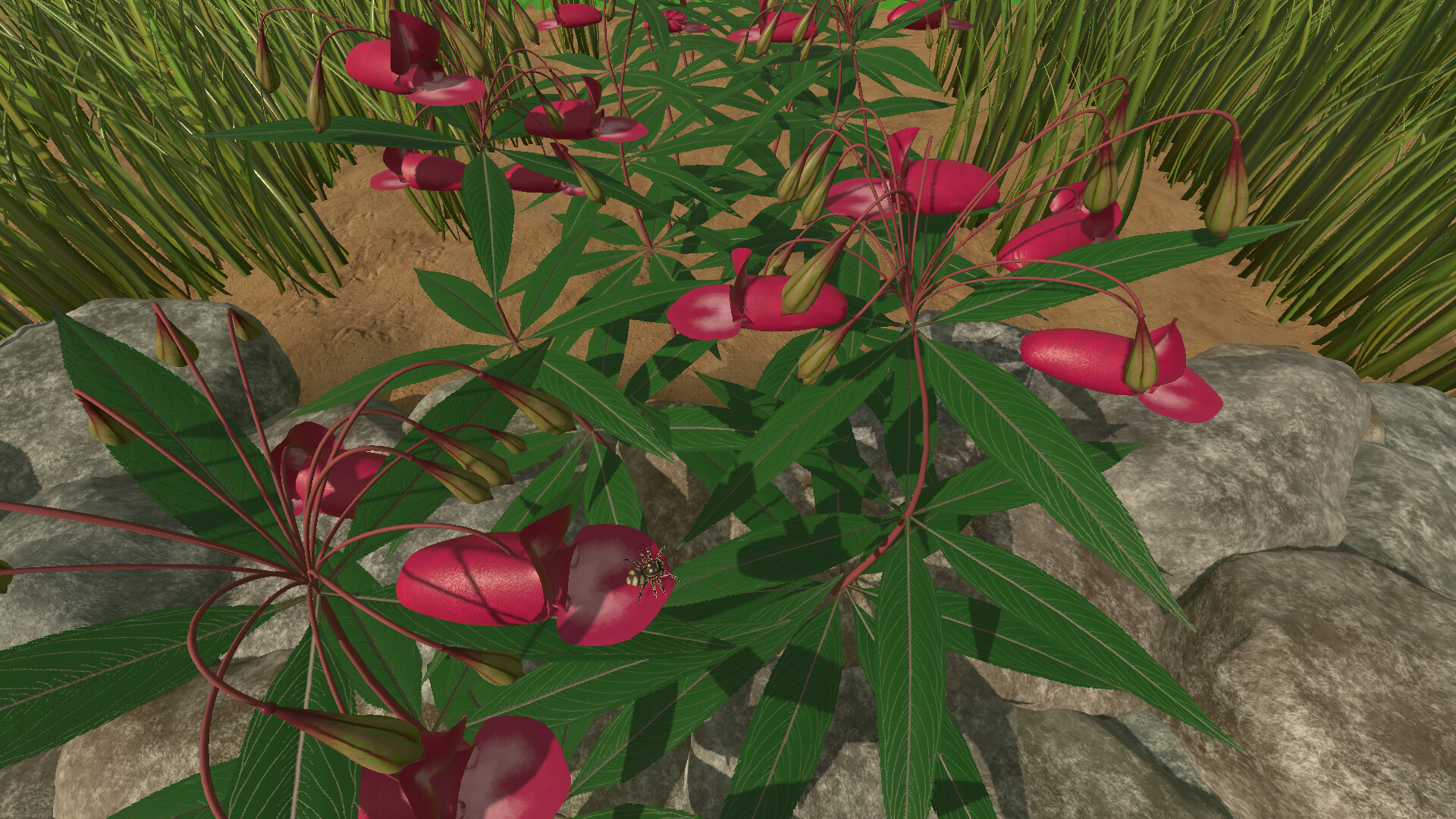 A little Jumpingspider's Garden Adventure (Day 1+2) screenshot #12