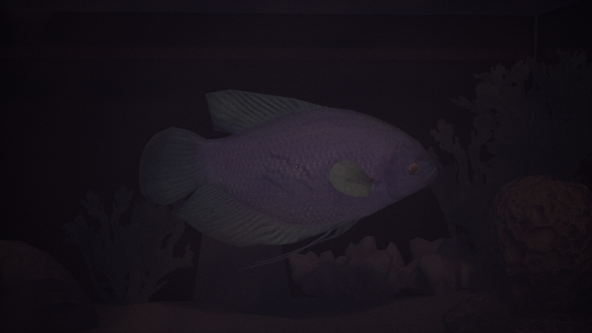 Halu - The Fish screenshot #6