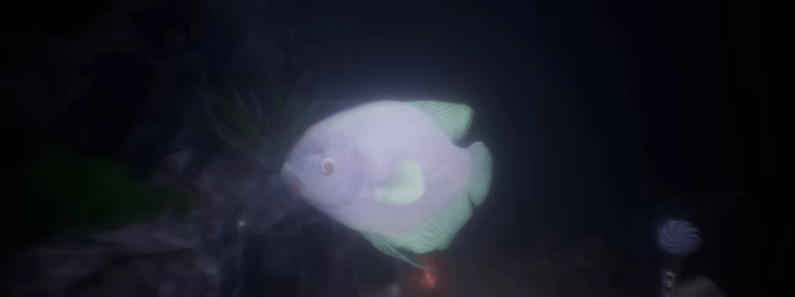 Halu - The Fish video 6
