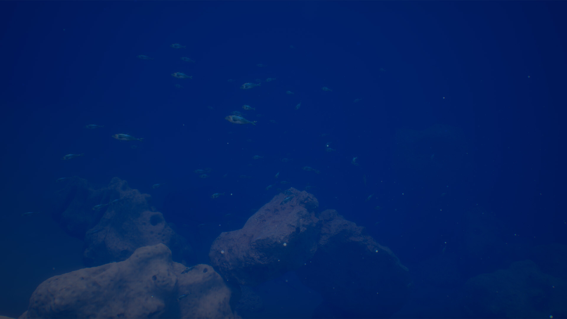 Halu - The Fish screenshot #10