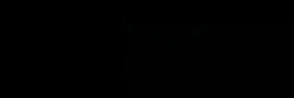Slay The Berserker video 1
