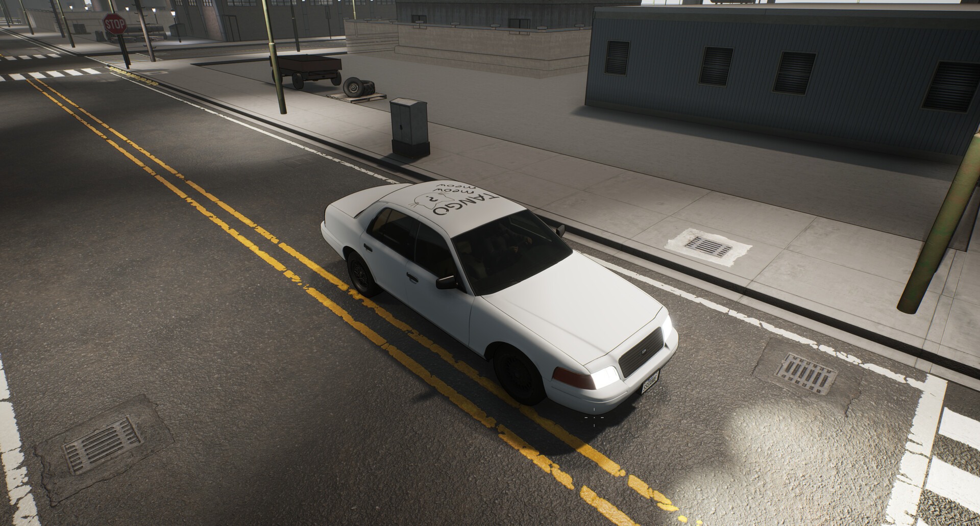 Stray Siege screenshot #22