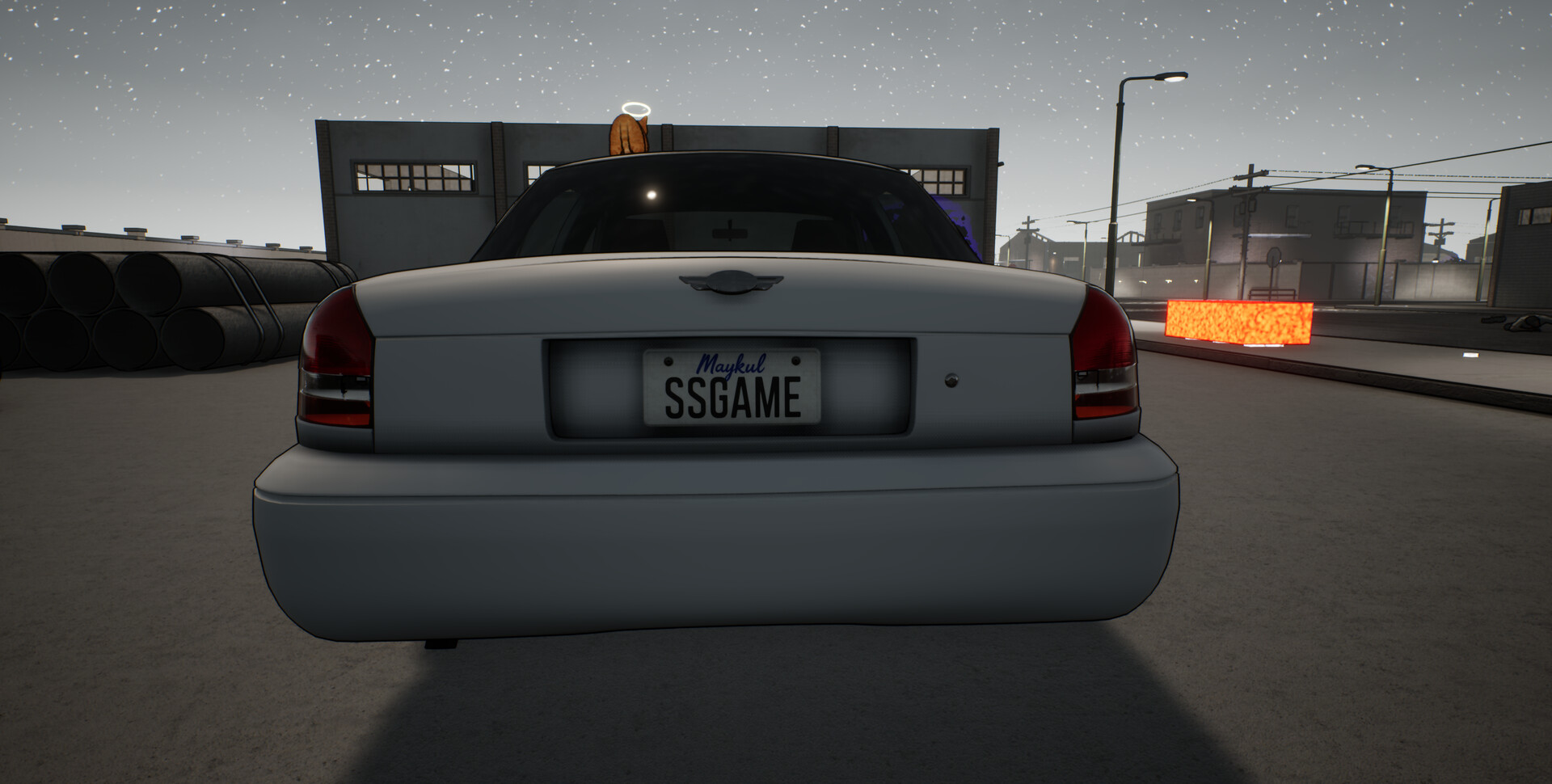 Stray Siege screenshot #20