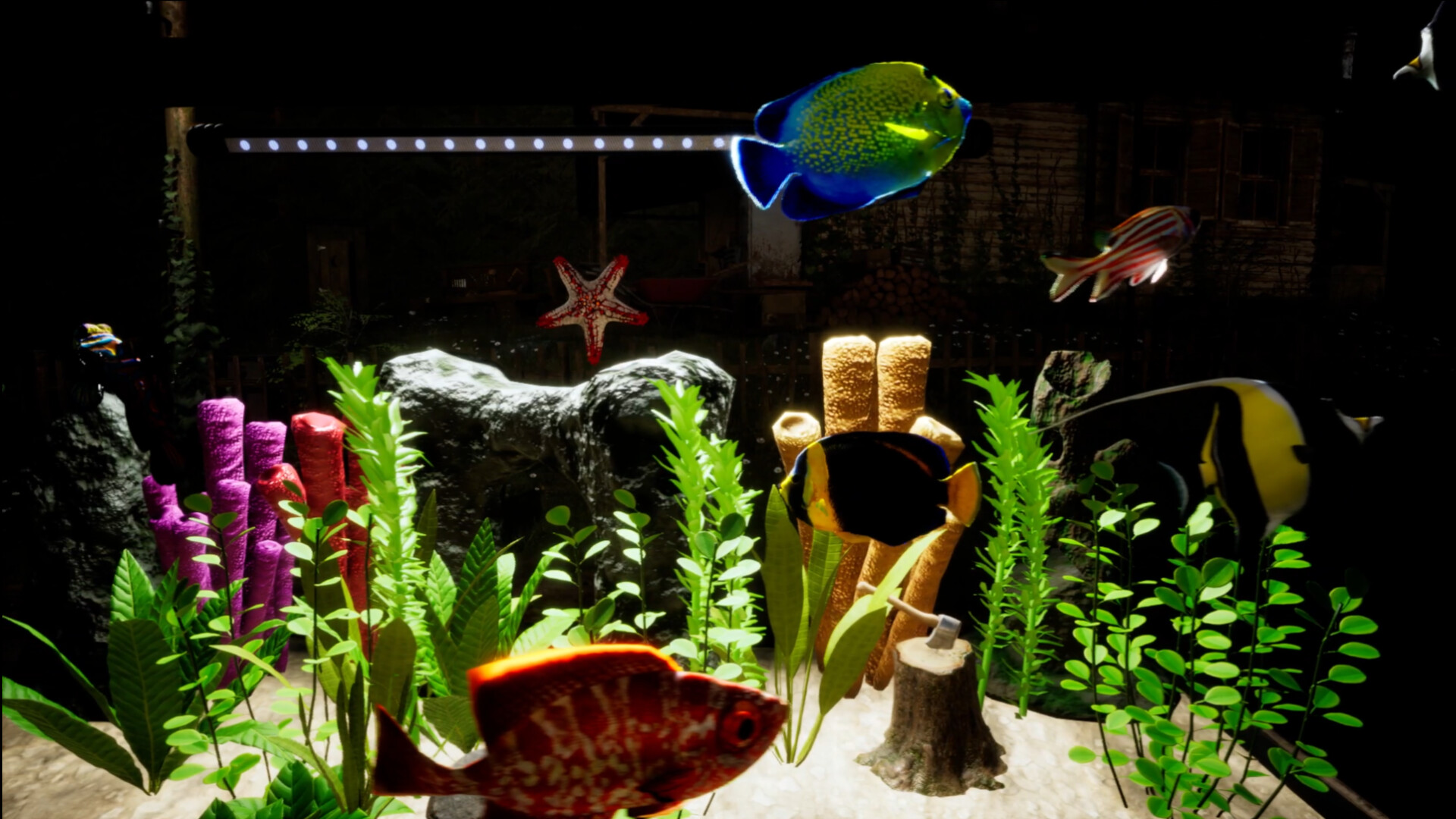 Fish Tank Simulator screenshot #3