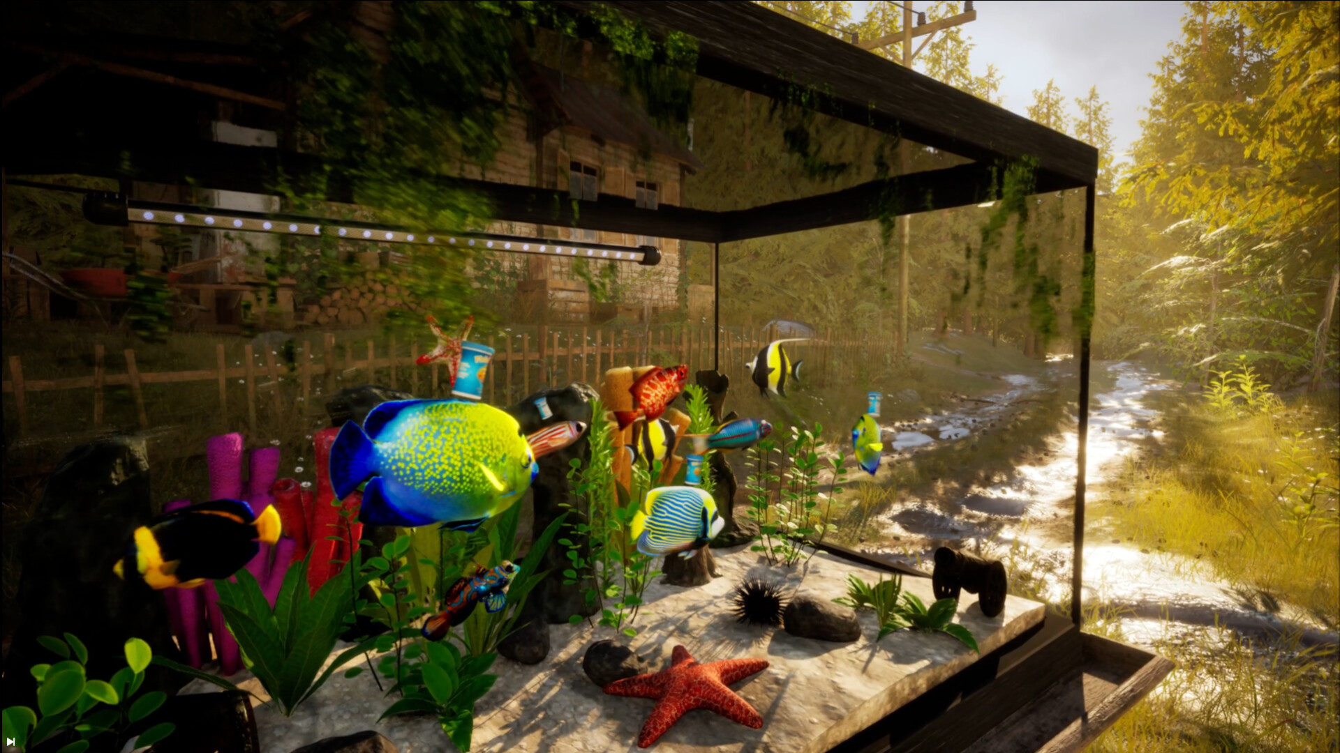 Fish Tank Simulator screenshot #2