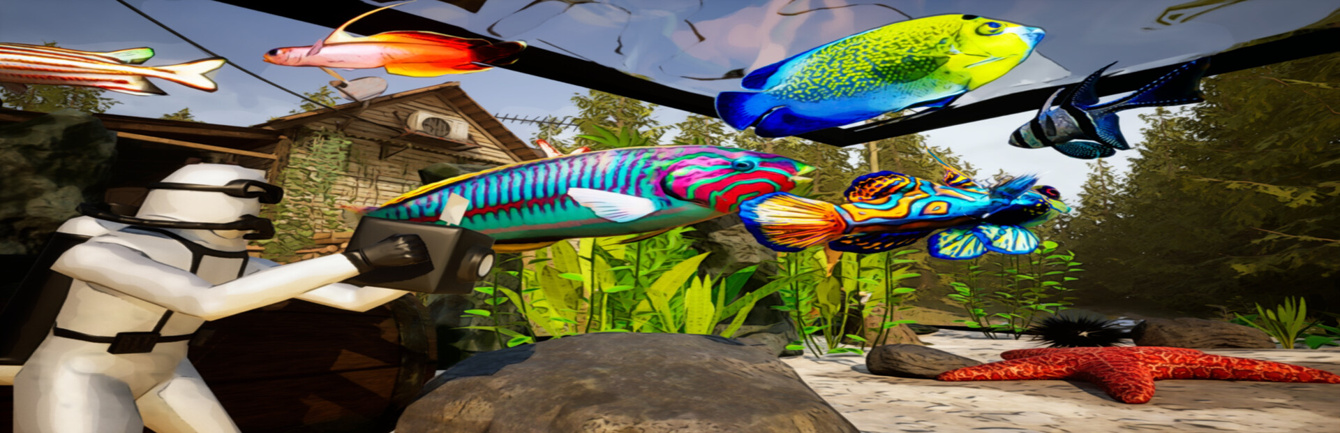 Fish Fortune