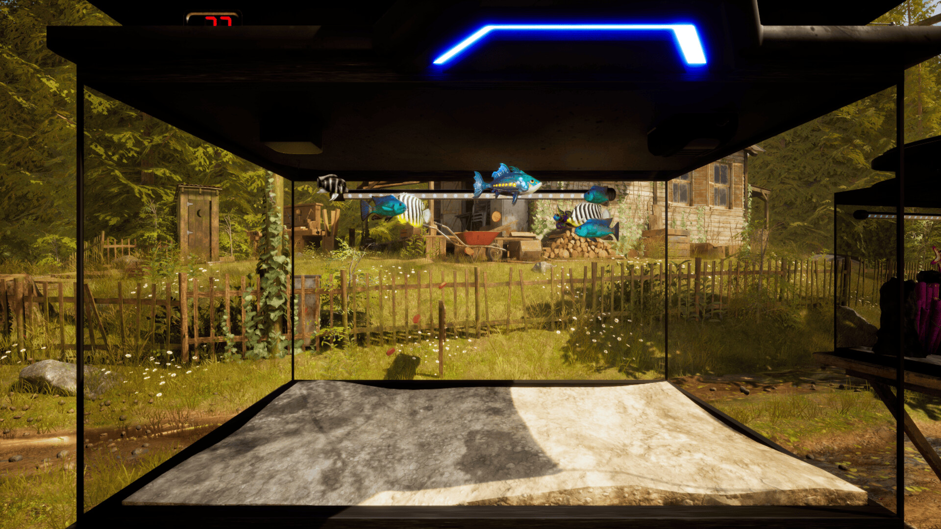 Fish Fortune screenshot #6