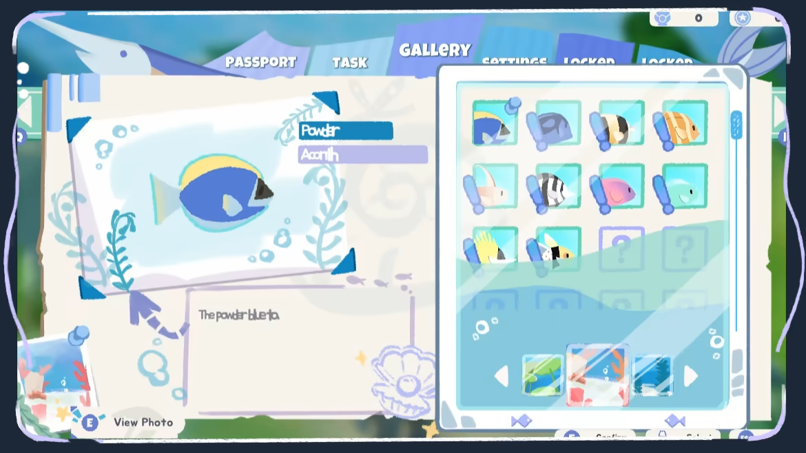 Splash Divers video 7