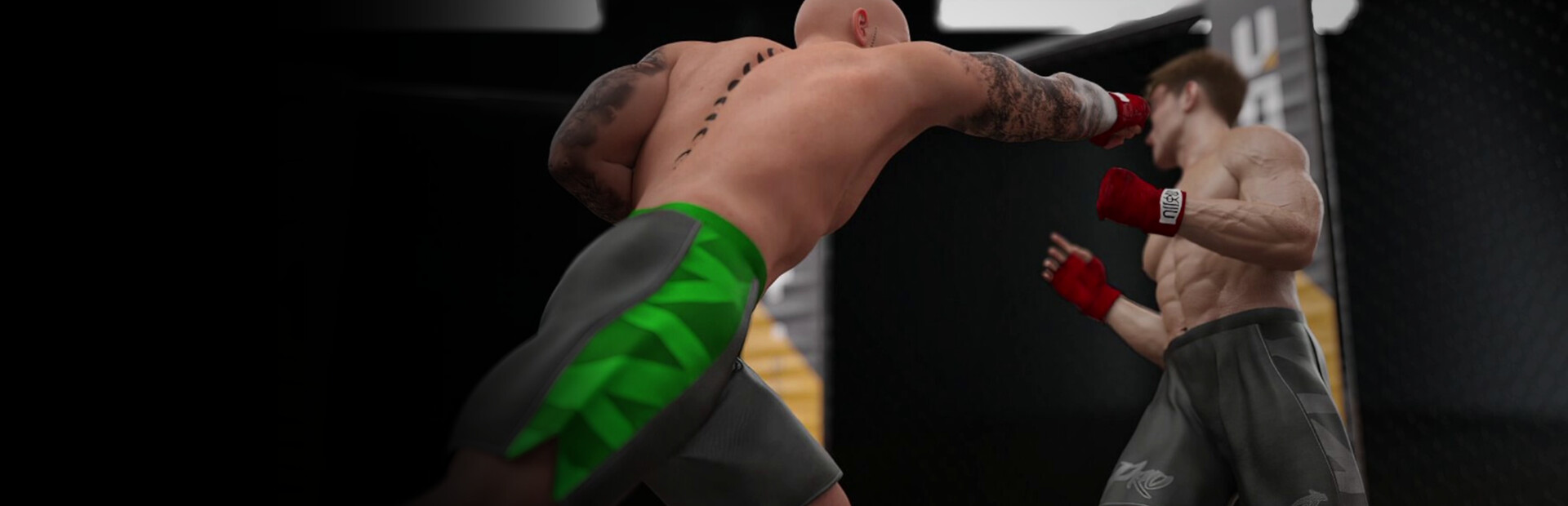 Fight Life Legacy