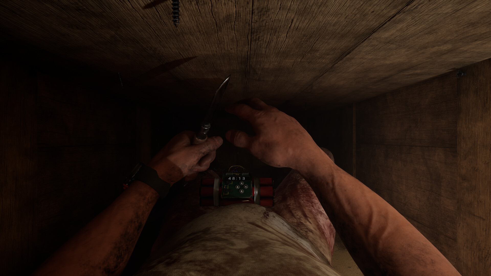 SINVAULT screenshot #8