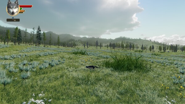 WolfQuest Anniversary - Tower Fall