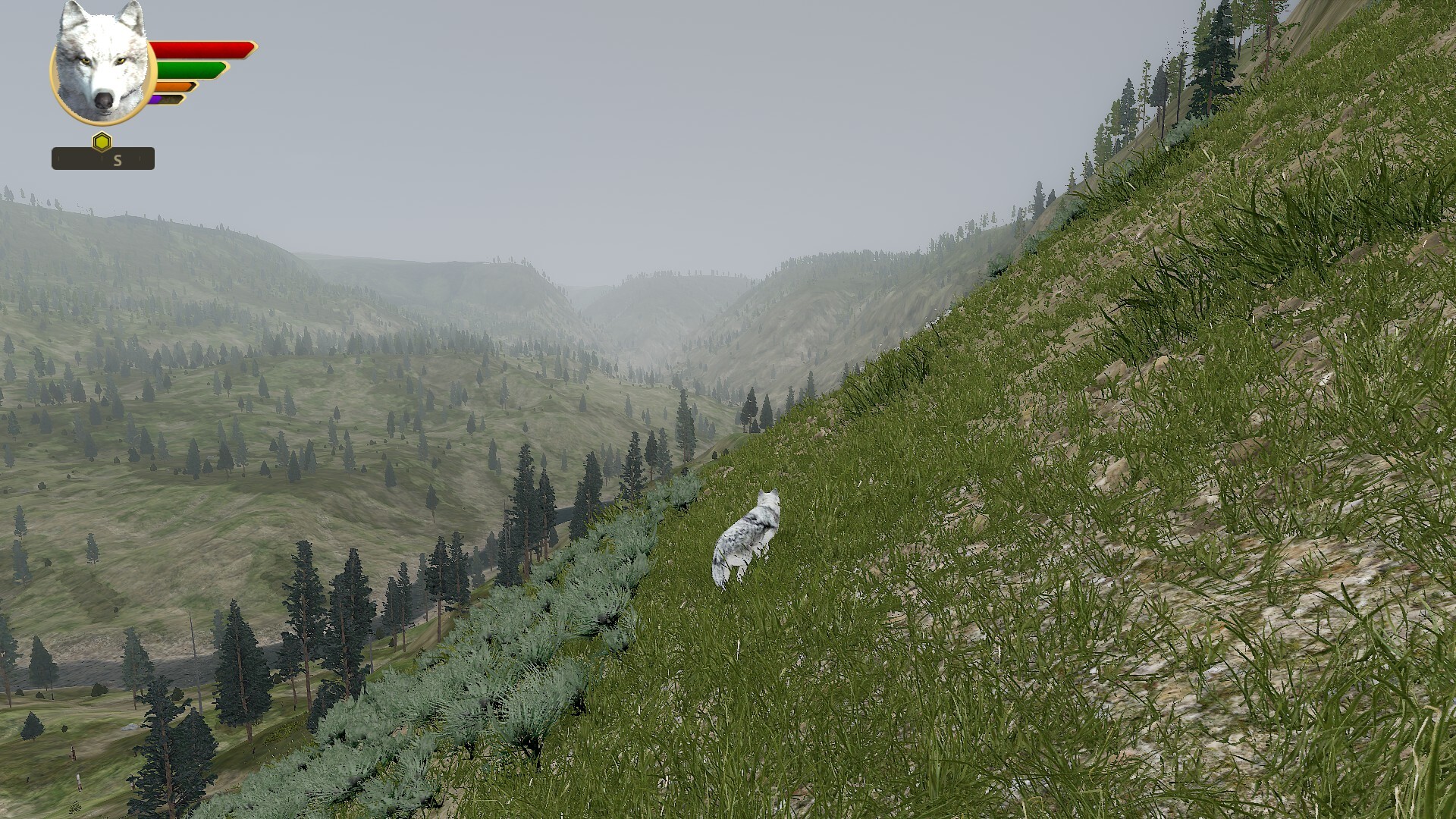 WolfQuest Anniversary - Tower Fall Featured Screenshot #1