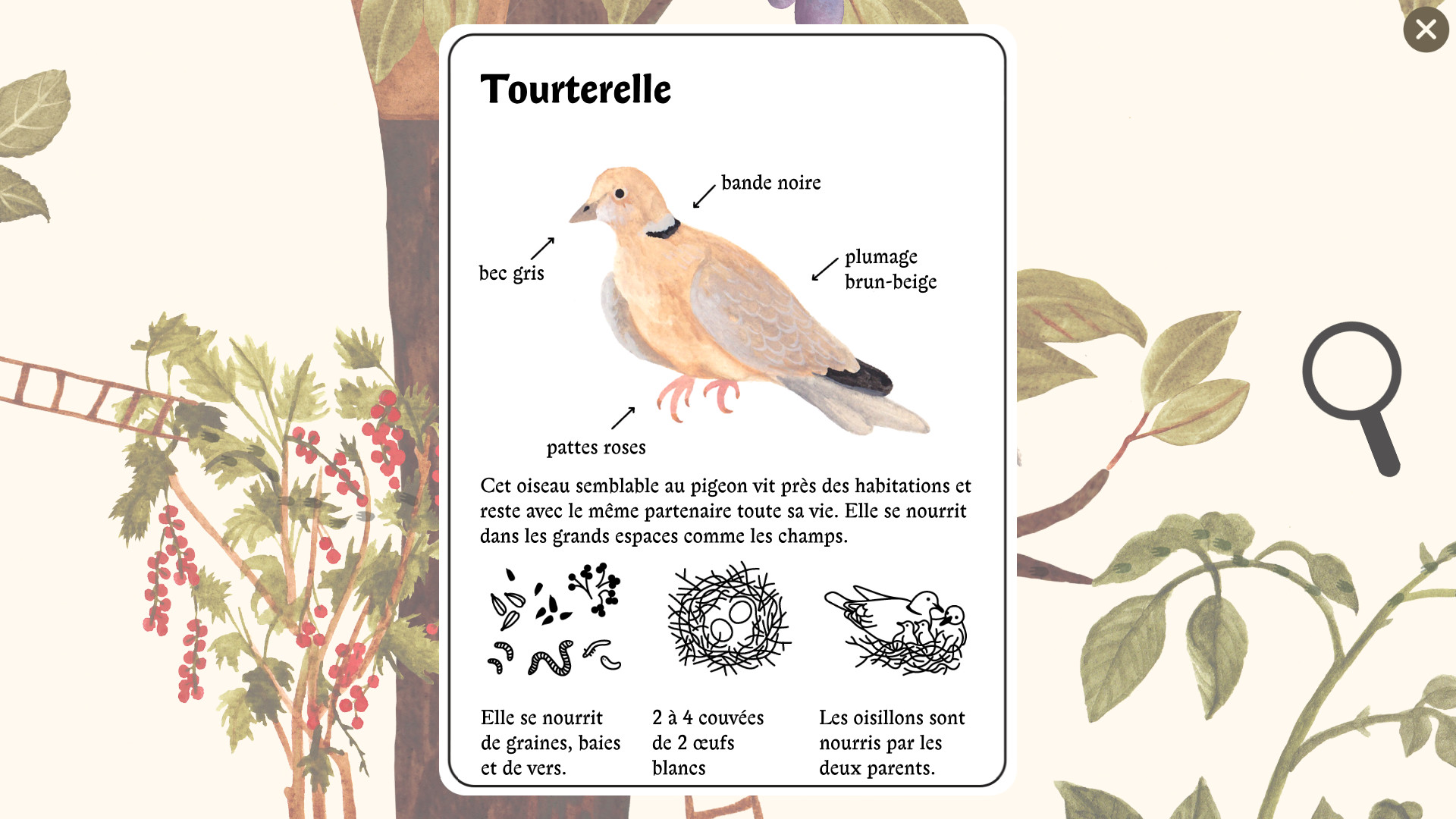 Little Mouse's Encyclopedia
