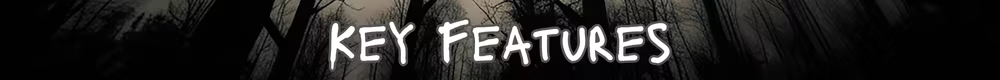 تصویر بازی Sector 13 Haunted Woods
