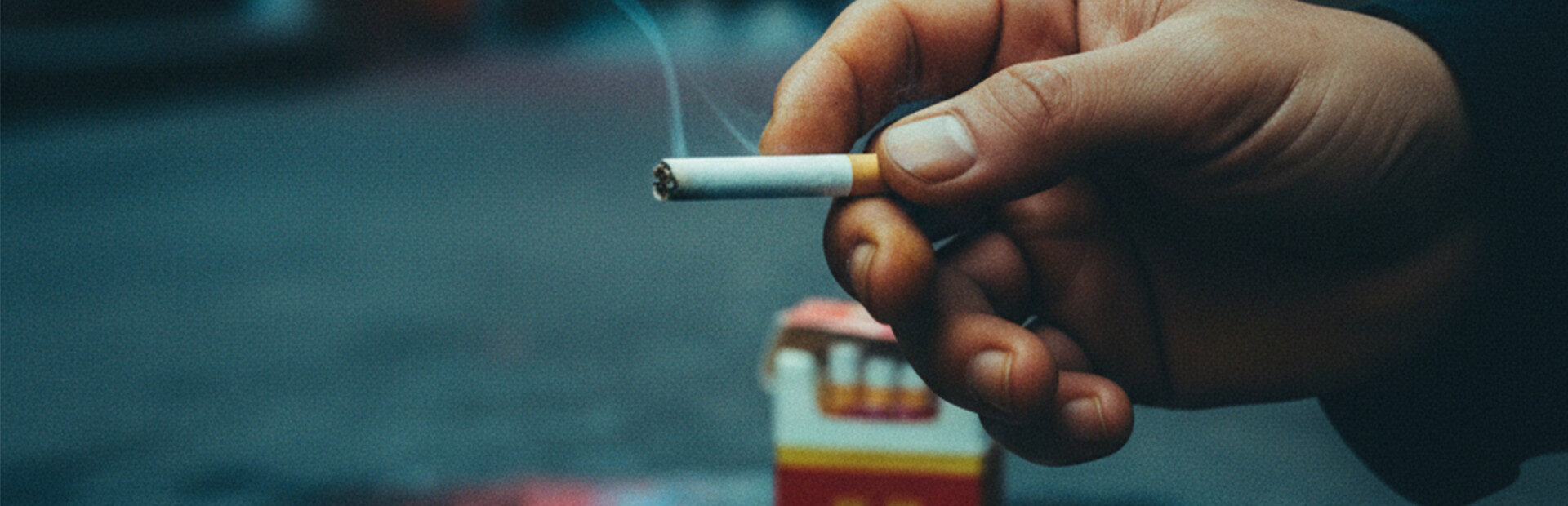第九档案-网管篇
