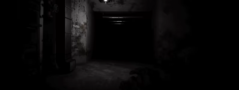 Paracesium video 6