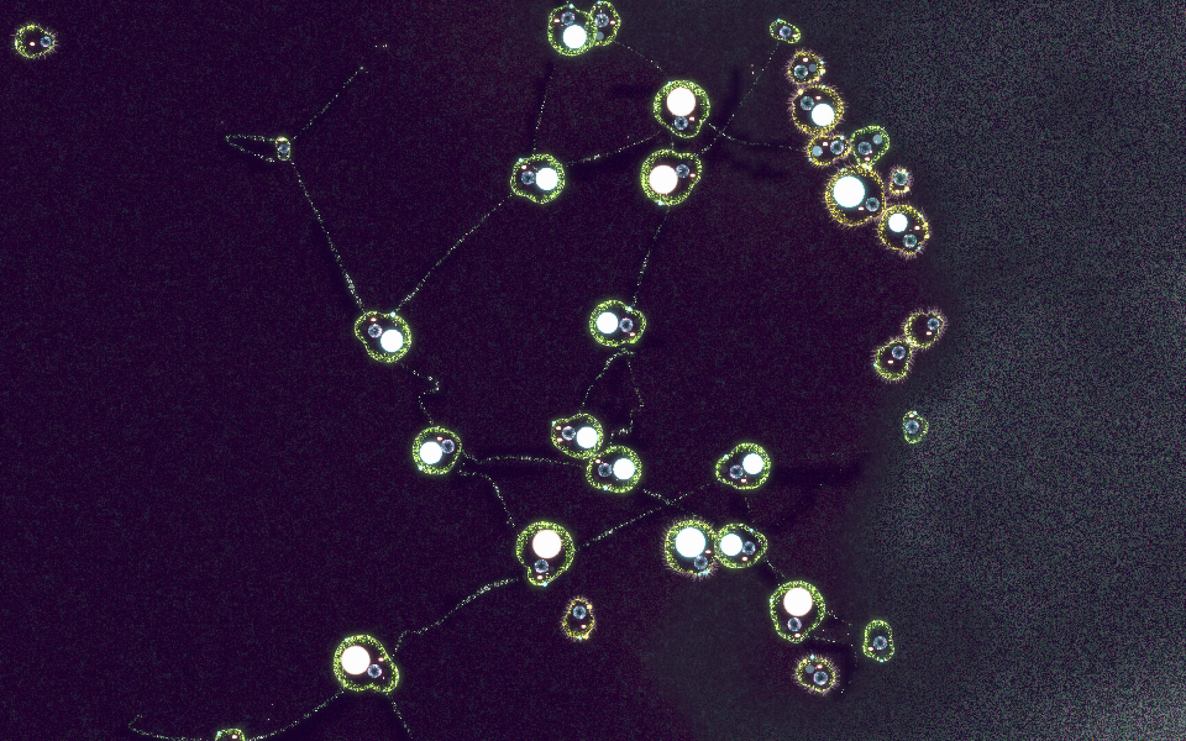 Substrate: Emergence screenshot #4