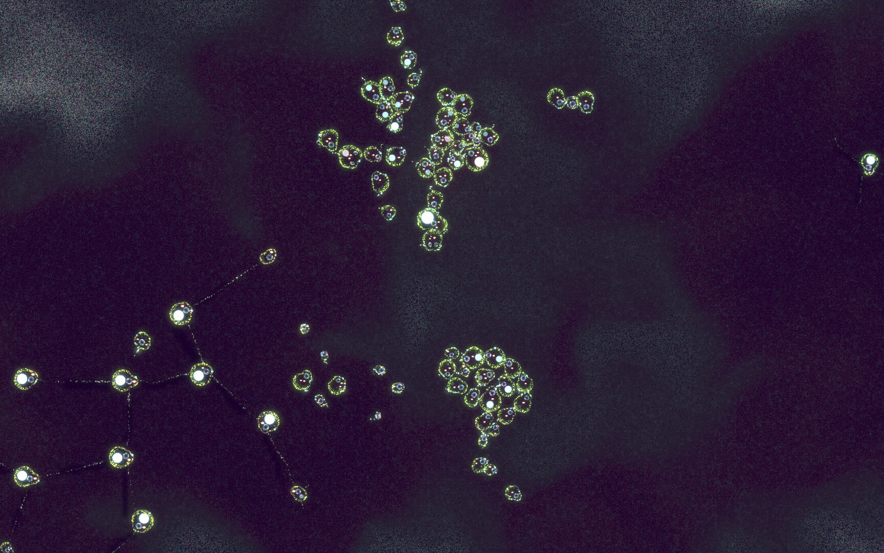 Substrate: Emergence screenshot #3