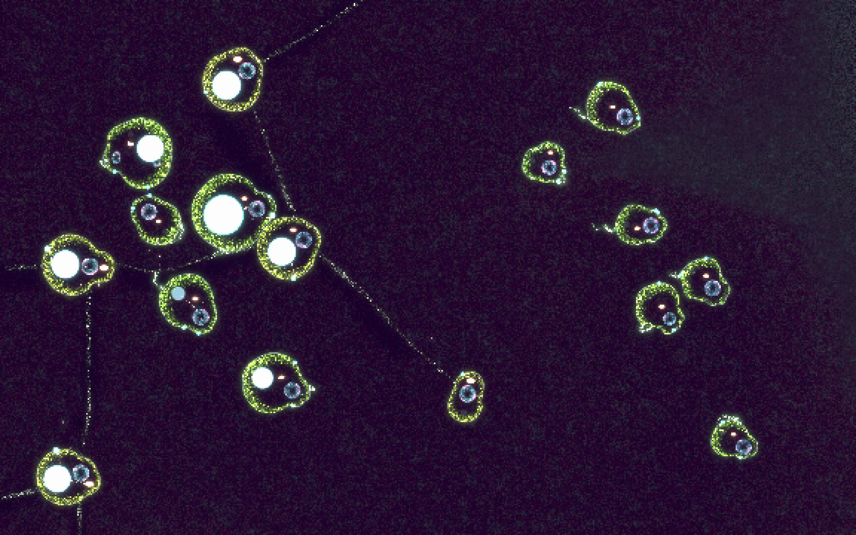 Substrate: Emergence screenshot #5