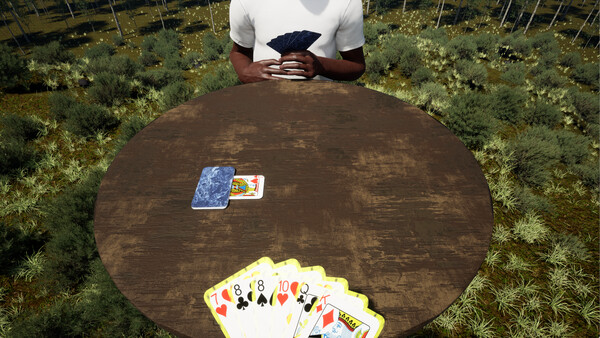 Modern Durak game for Linux 1
