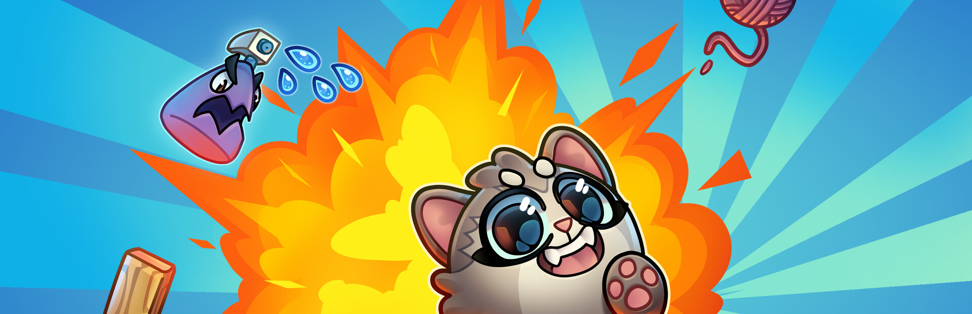 Cover Cat