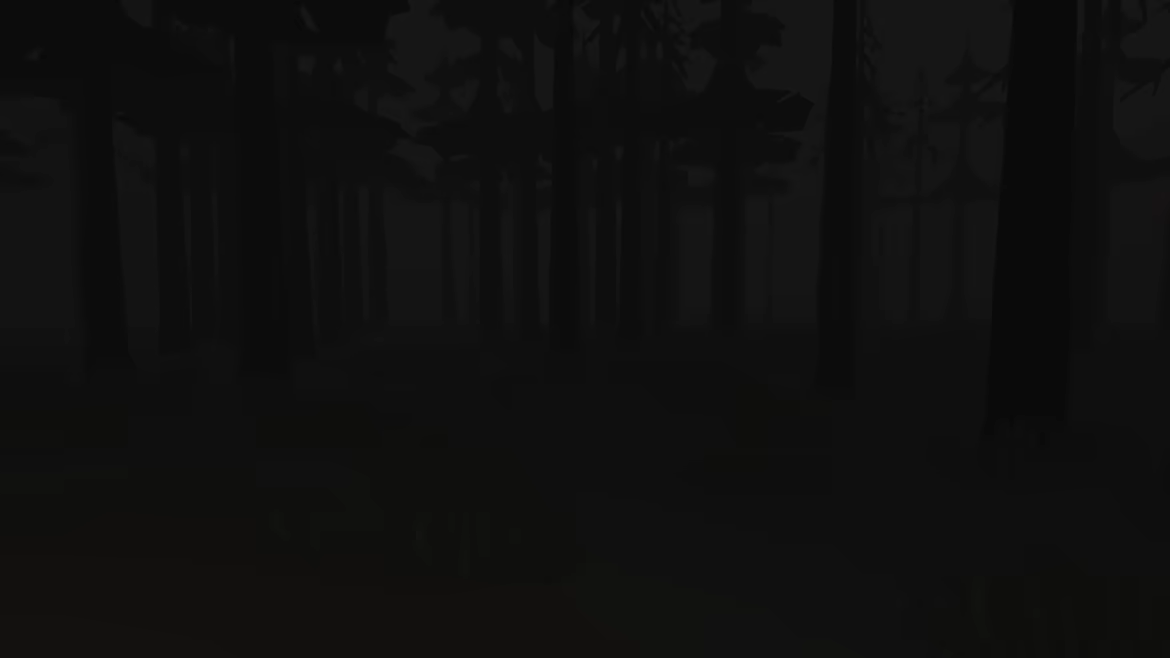 DE-RAIL video 1