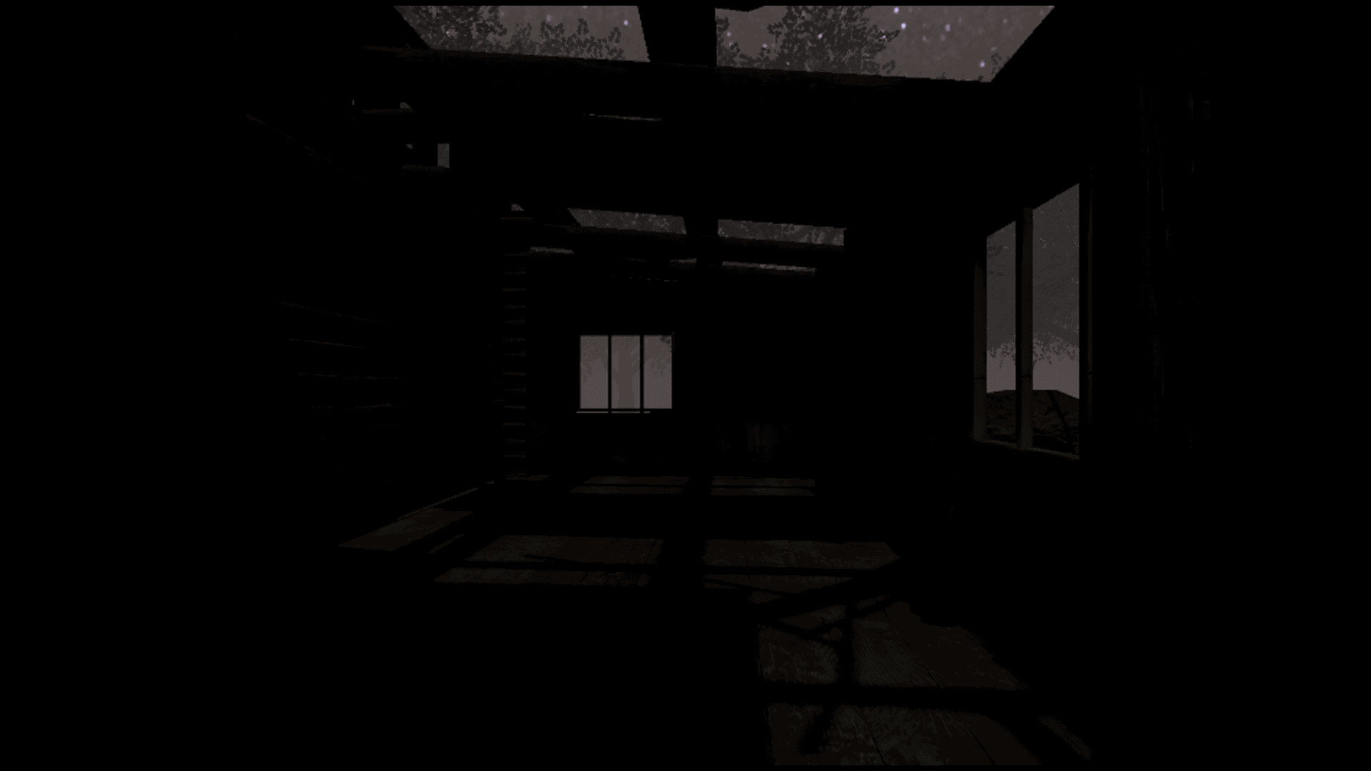 THE PROJECT screenshot #4