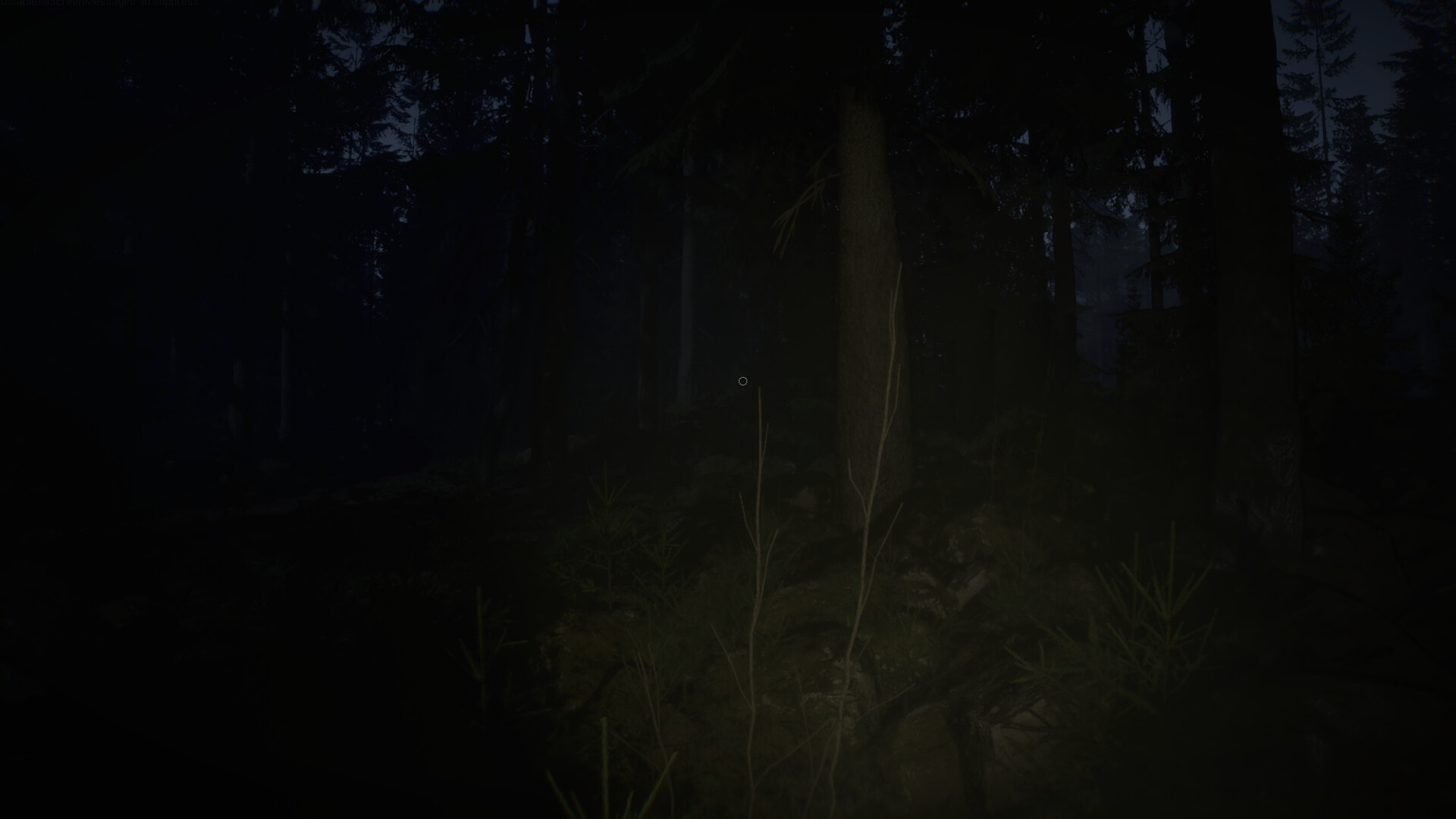 Veylora screenshot #1