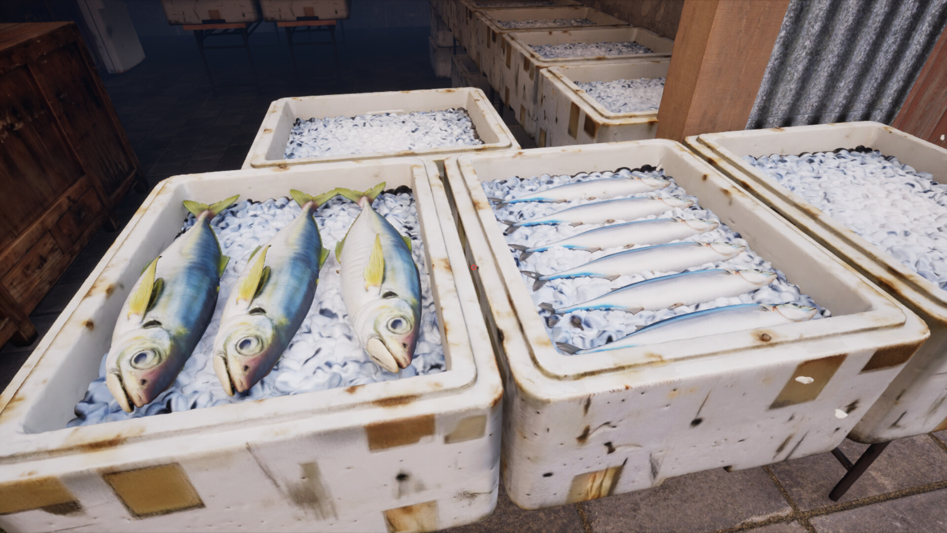 ノースウェステリアの子供 screenshot #10