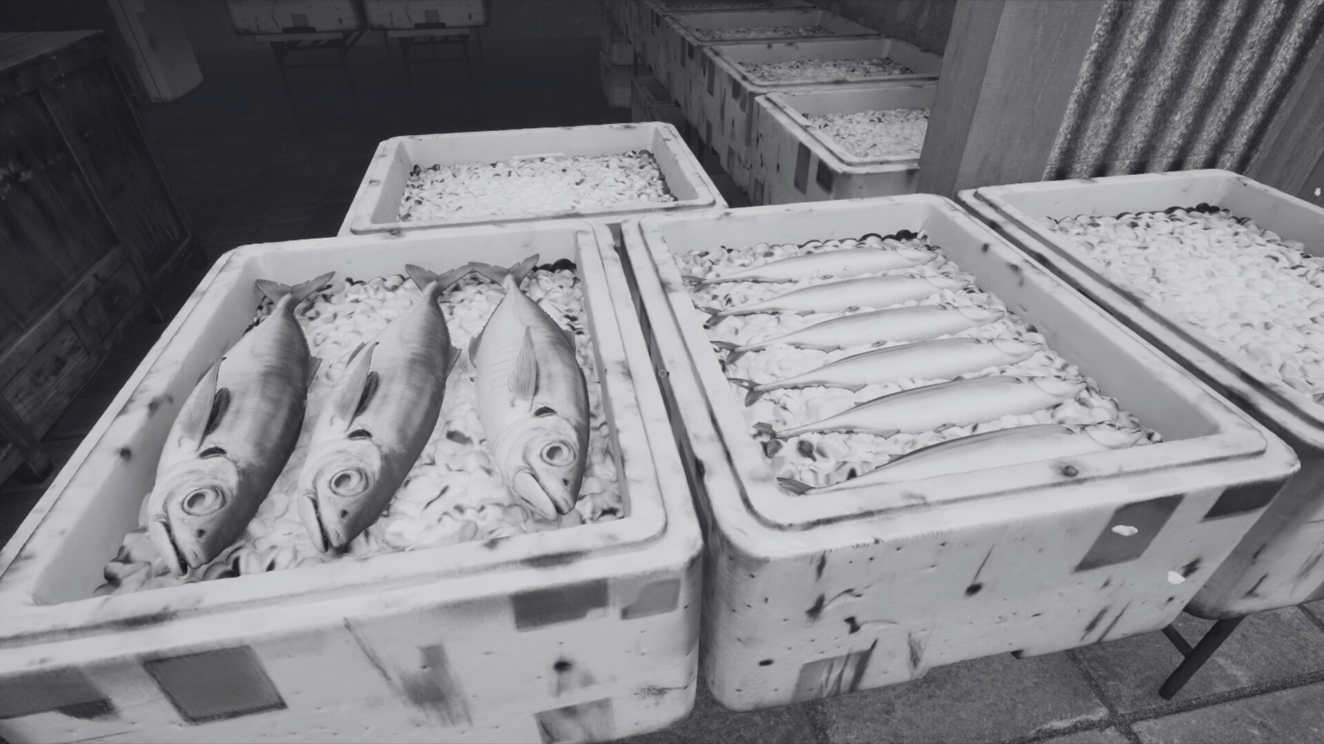 ノースウェステリアの子供 screenshot #9