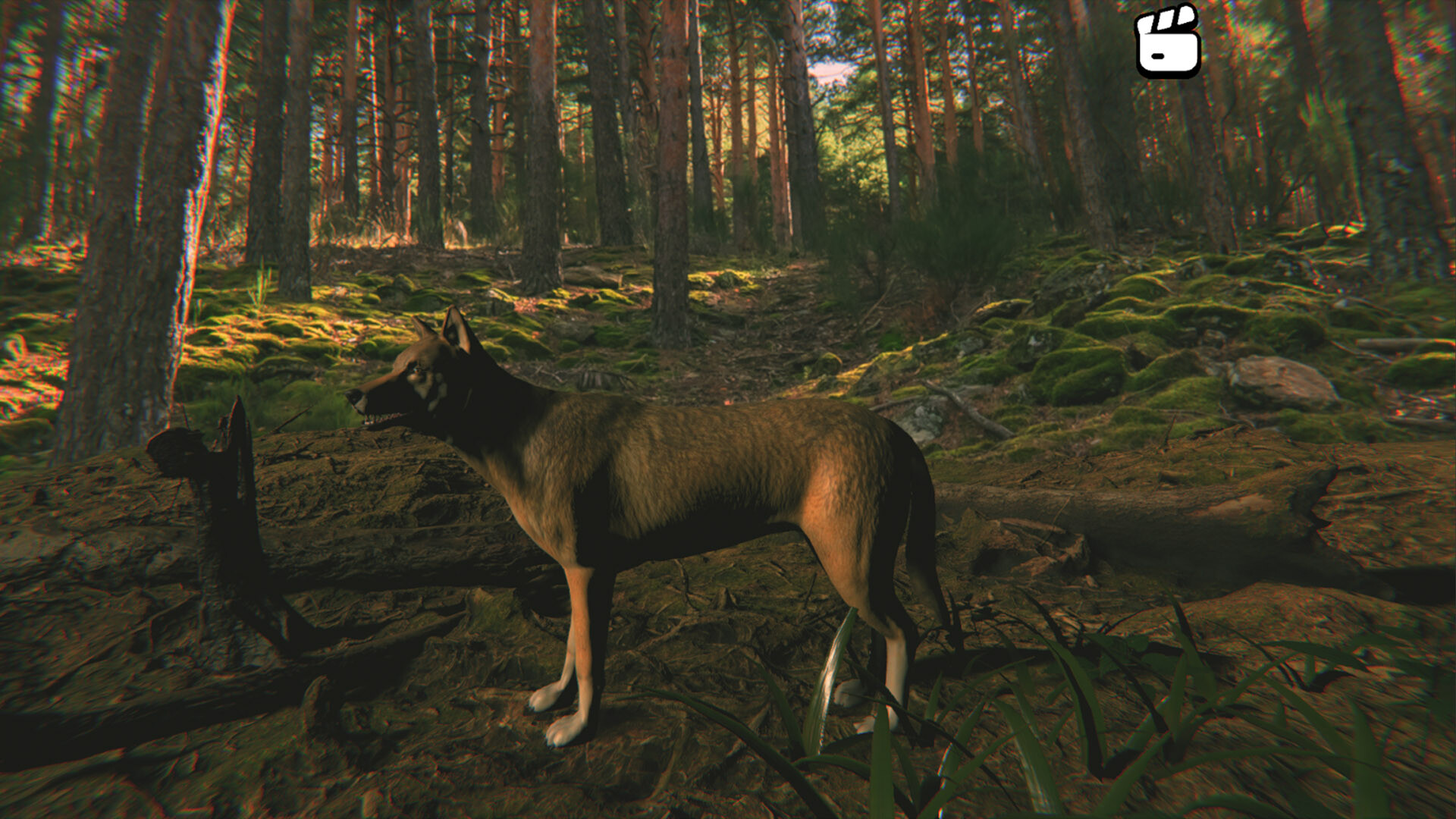 Catch the Chiken screenshot #5