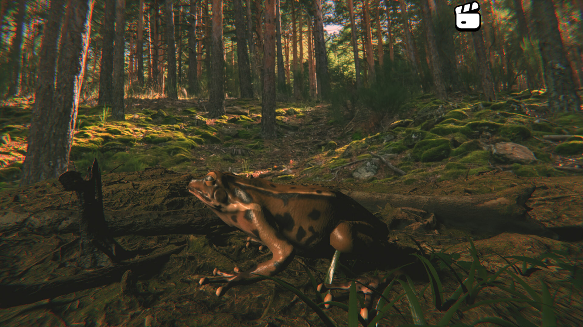 Catch the Chiken screenshot #3