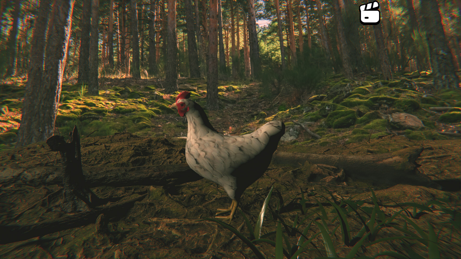 Catch the Chiken screenshot #2