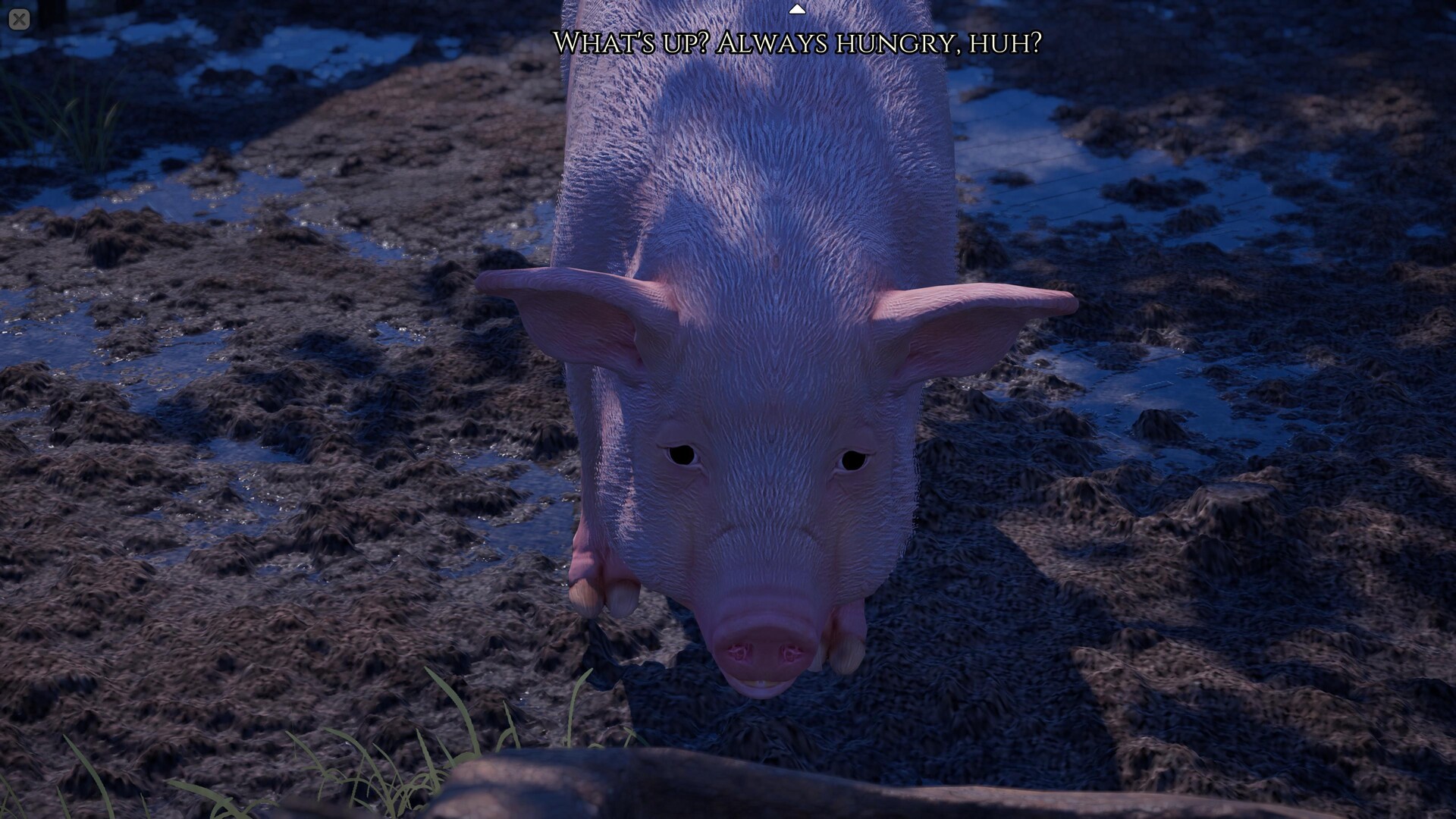 Limes 235 screenshot 4
